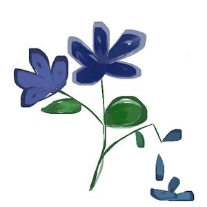 Meet your Posher, Clara